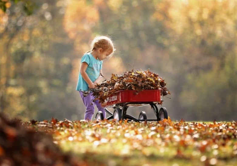 photography-of-child-pushing-the-wagon-1067191 photography-of-child-pushing-the-wagon-1067191